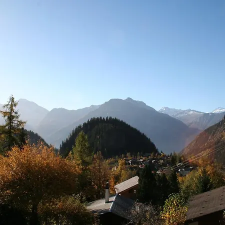 Ausblick *